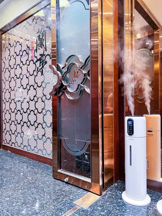 iPlus Ultrasonic Nebulization Disinfection Machine